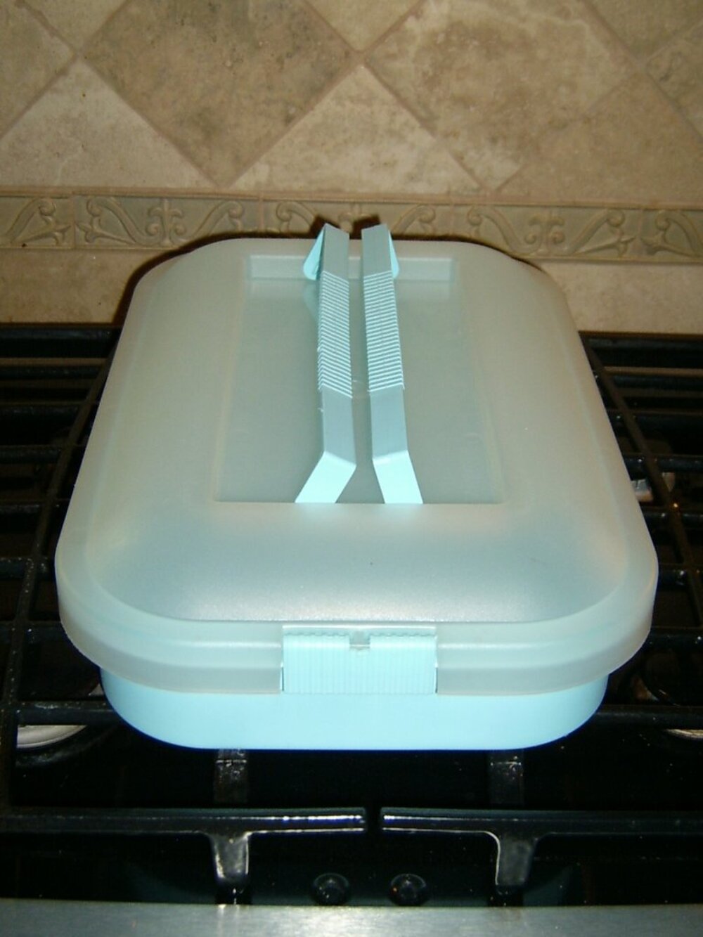 Iris Schwartz Large Cake Or Cupcake Carrier, Teal, 1-74-722